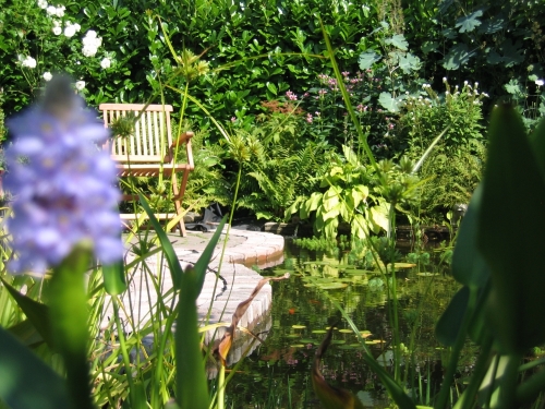 natuurlijke_vijver_project_venlo_2_20150919_1840124516